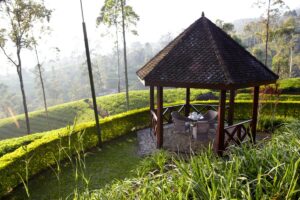 Luxury tea plantation in Sri Lanka hill country