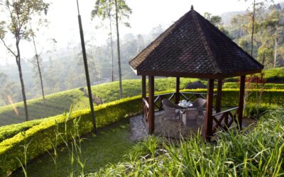 Luxury Sri Lanka Tours: The Ultimate Private Travel Experience