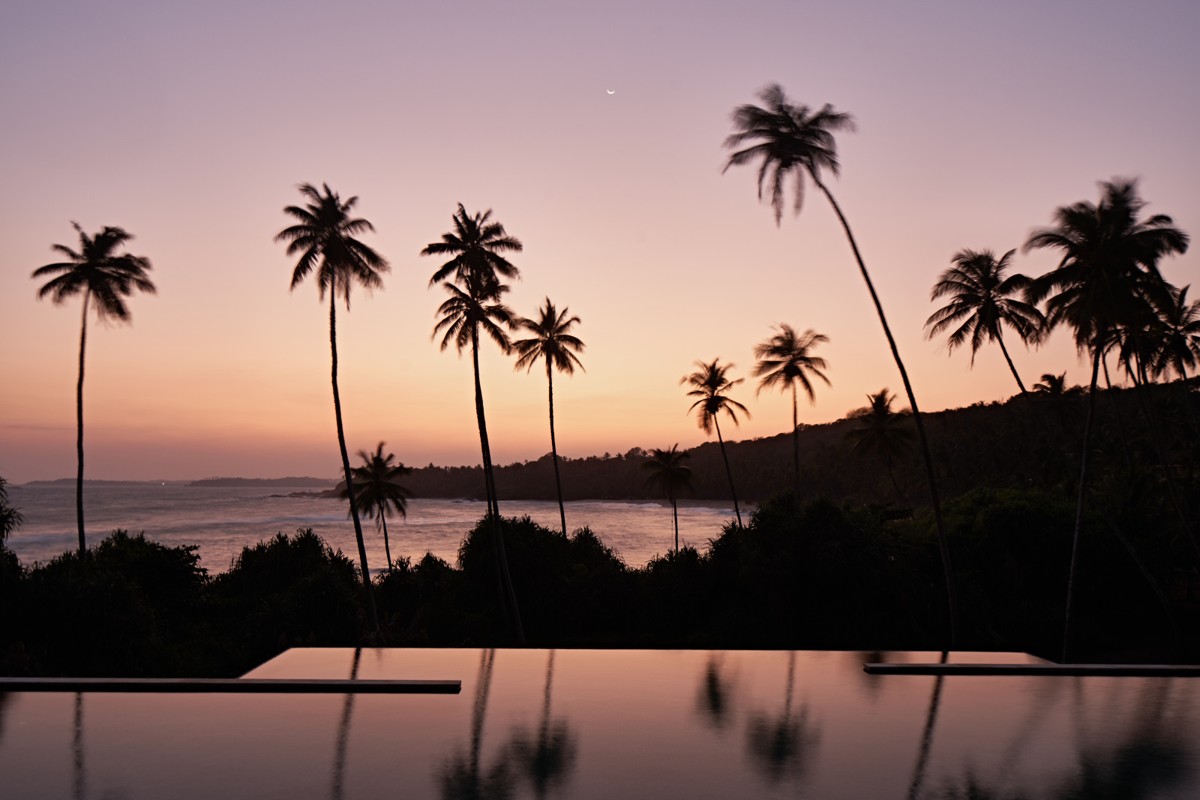 Sunset view over an infinity pool with palm trees and ocean at Amanwella Sri Lanka
