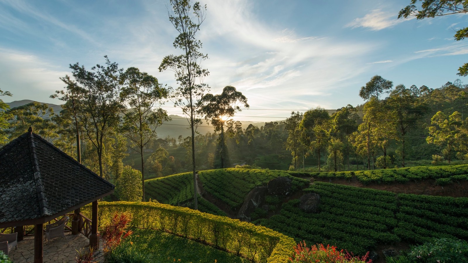 Luxury Sri Lanka Tea Country Private Journey Luxury tea estate landscape in Sri Lanka at sunrise – private curated travel experience