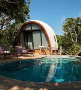 Private cocoon-style villa with pool in Sri Lanka surrounded by lush greenery