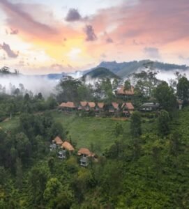 98 Acres Resort and Spa Ella tea estate luxury resort with mountain views