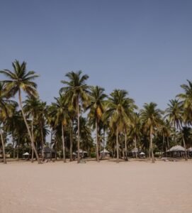 Eco-luxury villas at Karpaha Sands Passikudah surrounded by palm trees near the beach